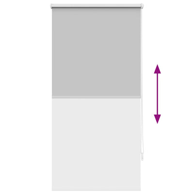 Harmaa pimentävä rullaverho Alfredsson 60x120cm