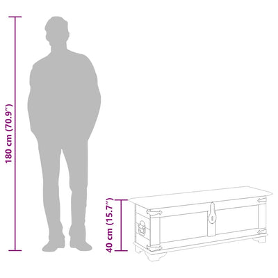 Säilytysarkku Irvin (karkea mangopuu)