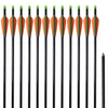 Standardi yhdistelmäjousen nuolet 30" 0,8 cm Lasikuitu 12 kpl