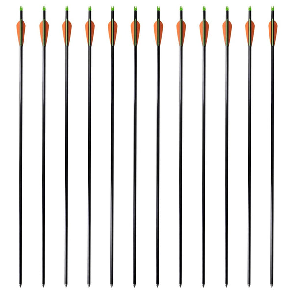 Standardi yhdistelmäjousen nuolet 30" 0,8 cm Lasikuitu 12 kpl