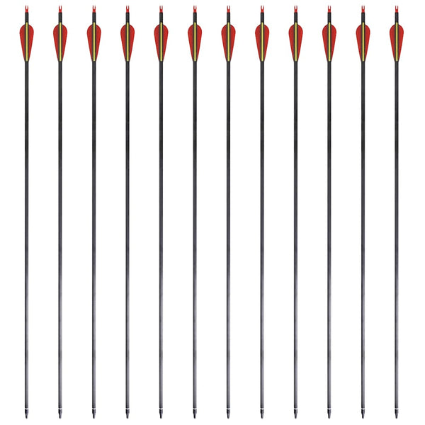 Jousipyssyn Nuolet 30" 0,76 cm Hiilikuitu 12 pcs