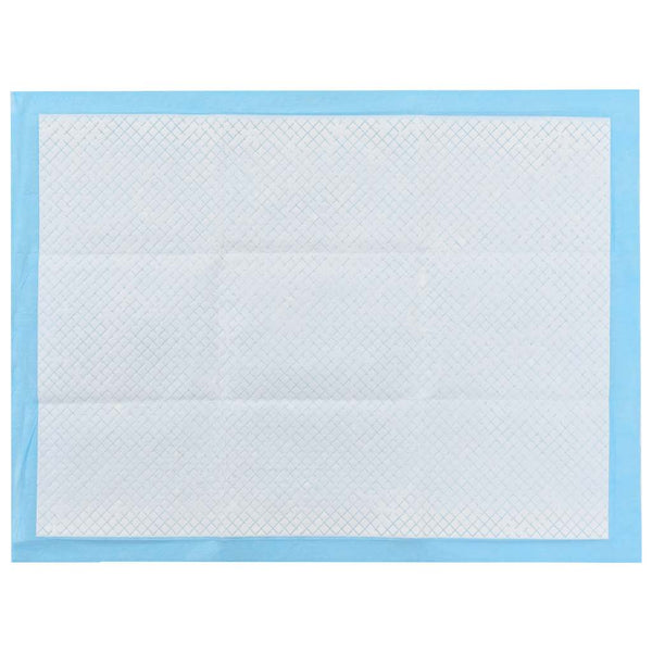 Lemmikkieläimen koulutusalustat 100 kpl 60x45 cm kuitukangas