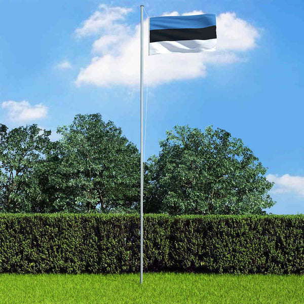 Viron lippu 90x150 cm