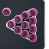Beer pong sarja 0,5 l muovi