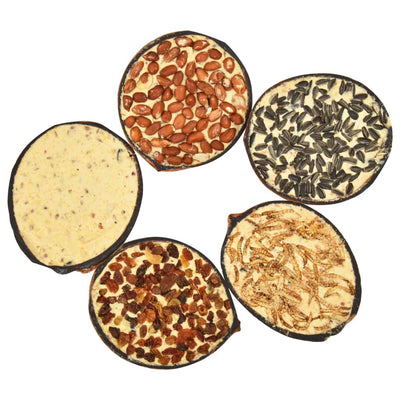 Linnunruoalla täytetyt kookospähkinän puolikkaat Quy 290 g (10 kpl)