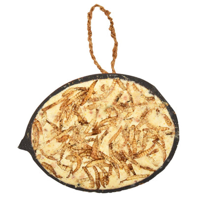 Linnunruoalla täytetyt kookospähkinän puolikkaat Quy 290 g (10 kpl)