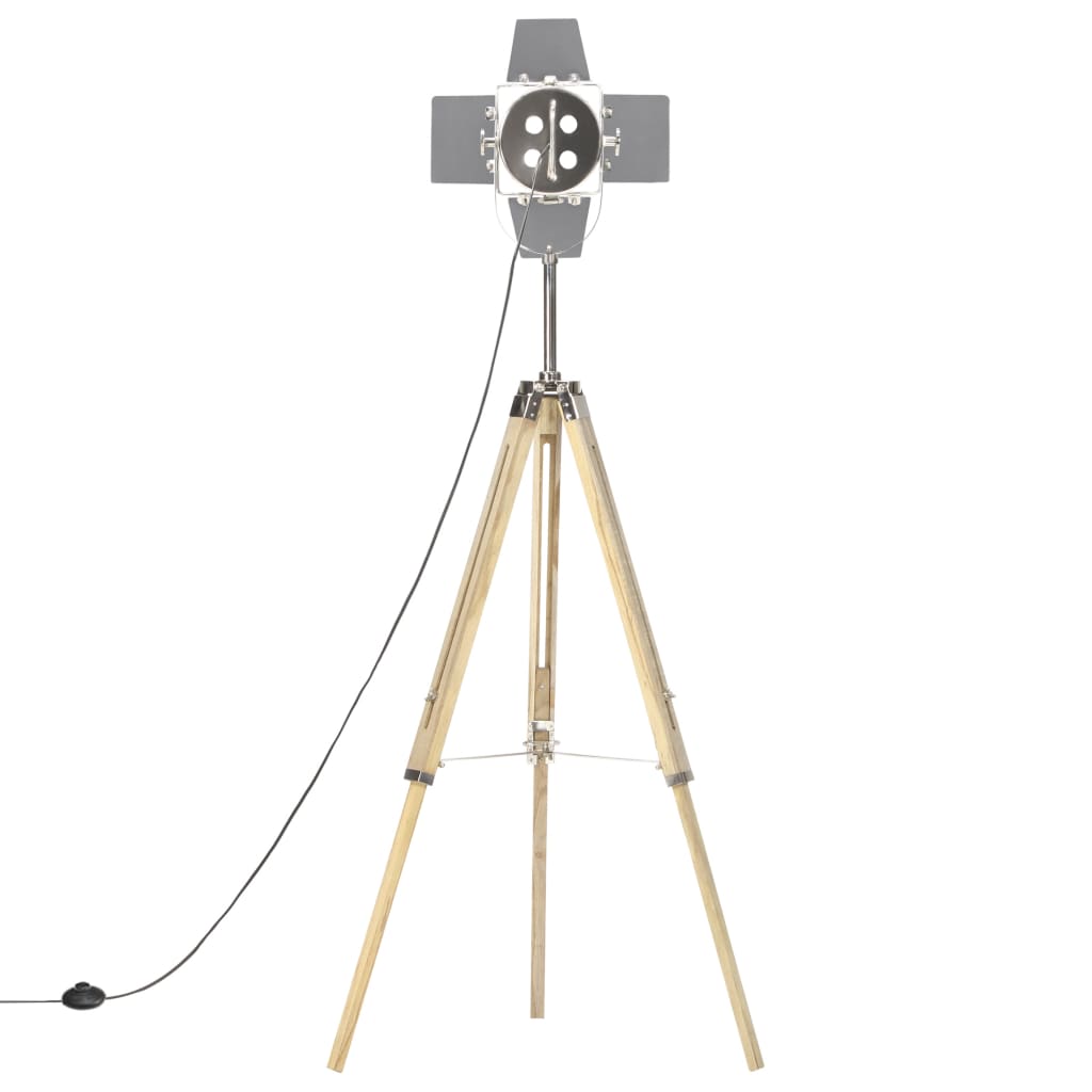 Kolmijalkavalaisin täysi mangopuu Rascarache 140cm