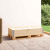 Kuormalavan reunus 50x100 cm täysi mänty