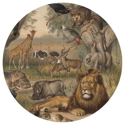 WallArt Tapetti ympyrä Animals of Africa 142,5 cm