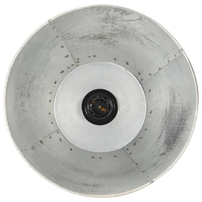 Hopea lattiavalaisin Rozalin (mangopuu e27)