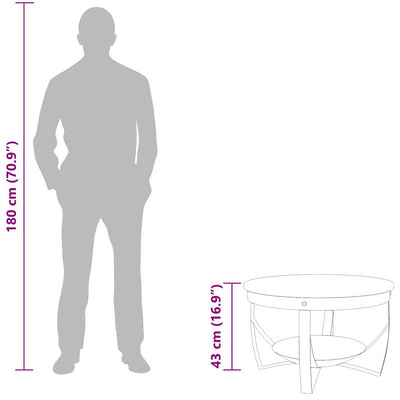 Sohvapöytä Minella Ø 68x43cm (kierrätetty puu)