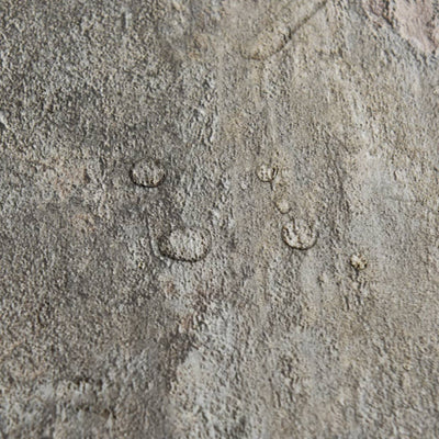 Harmaa itsekiinnittyvä lattialankku Emeretiana 5,11 m² (55 kpl pvc)