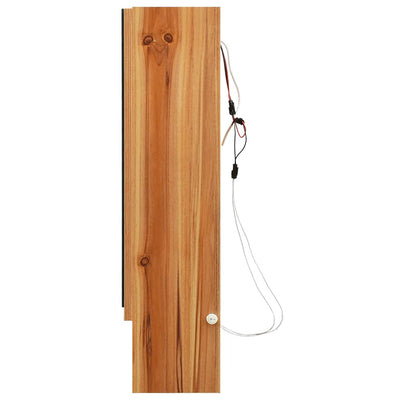 LED kylpyhuoneen peilikaappi tammi 80x15x60 cm MDF