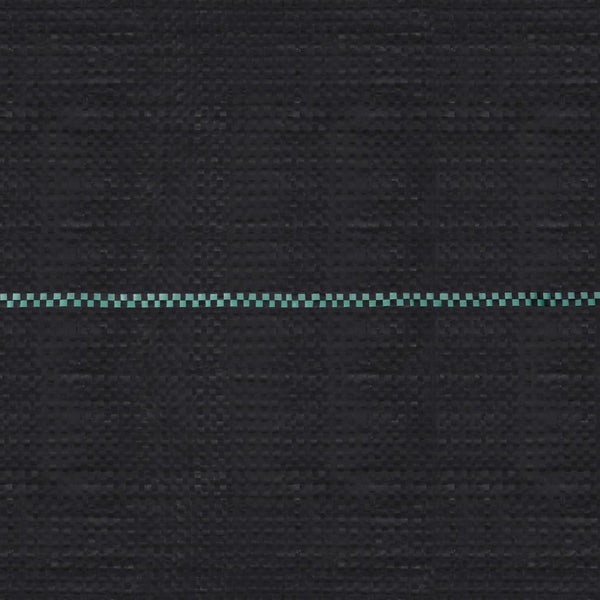 Musta rikkaruohojen ja juurien kontrollointimatto Ecsterina 1x200 m (pp)