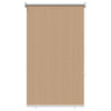 Rullaverho ulkotiloihin 65(L)x140(K) cm beige