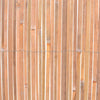 Bambuaita 100x600 cm