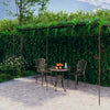 Antiikkiruskea puutarhan pergola Balada 6x3x2,5 m (rauta)
