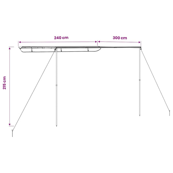 Asuntoauton ja -vaunun markiisi 2,4x3x2,15 m beige