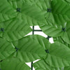 Parvekkeen suoja vihreillä lehdillä 300x100 cm