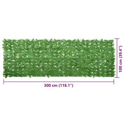 Vihreillä parvekkeen suoja Digulescu 300x100cm