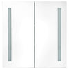 LED kylpyhuoneen peilikaappi tammi 62x14x60 cm