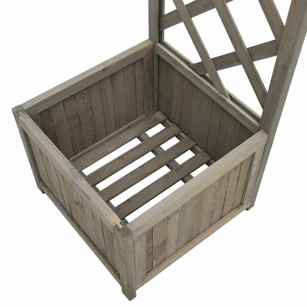 Harmaa puutarhakaari kukkapenkillä Narius (kuusi)