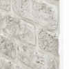 Seinäpaneelit 10 kpl 100 x 50 cm Vaaleanharmaa EPS vaahtomuovi