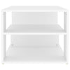 Valkoinen sohvapöytä Danilla 100x50x40cm (puinen)