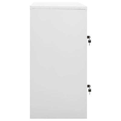 Pukukaappi vaaleanharmaa ja punainen 90x45x92,5 cm teräs