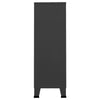Antrasiitti teollistyylinen vaatekaappi Tanasel 67x35x107cm (teräs)