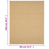 Matto luonnollinen sisal 80x100 cm