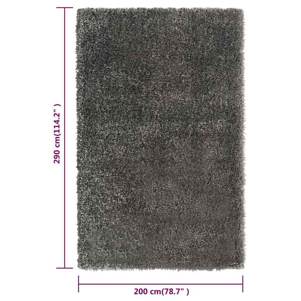 Korkeanukkainen Shaggy matto antrasiitti 200x290 cm 50 mm