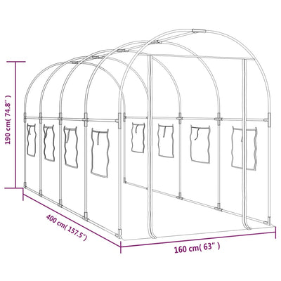 Kasvihuone läpinäkyvä 160x400x190 cm PVC ja jauhemaalattu teräs