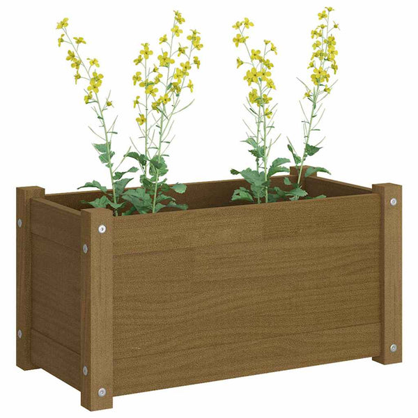 Puutarhan kukkalaatikko hunajanruskea 60x31x31 cm täysi mänty