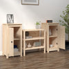 Senkit 2 kpl 40x35x80 cm täysi mänty