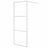 Walk-in suihkuseinäke hopea 80x195 cm kirkas ESG-lasi