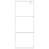 Walk-in suihkuseinäke hopea 80x195 cm kirkas ESG-lasi