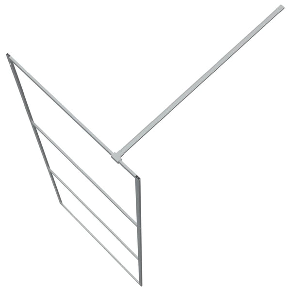 Walk-in suihkuseinäke hopea 80x195 cm kirkas ESG-lasi