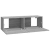 TV-seinäkaapit 2 kpl harmaa Sonoma 100x30x30 cm tekninen puu