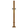 Puutarhaportti 100x75 cm Corten-teräs