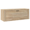 Seinäkenkäkaappi Sonoma-tammi 100x35x38 cm tekninen puu