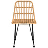 Puutarhatuolit 2 kpl 48x62x84 cm PE rottinki