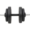 Hauistanko ja käsipainosarja levyillä 60 kg