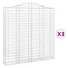 Kaarevat kivikorit 3 kpl 200x30x200/220 cm galvanoitu rauta