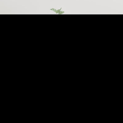 Valkoinen seinäkiinnitettävä tv-taso Robt 40x34,5x80cm