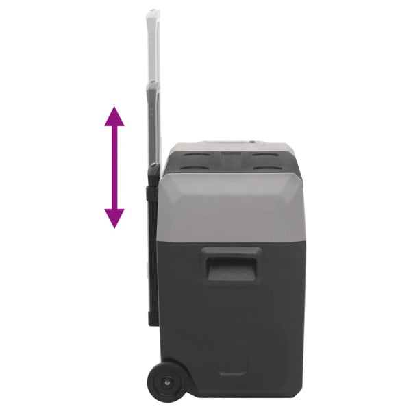 Kylmälaukku pyörillä ja adapterilla mustaharmaa 50 l PP