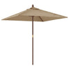 Puutarhan aurinkovarjo puutolppa taupe 198x198x231 cm