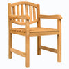 Puutarhatuolit 2 kpl 58x59x88 cm täysi tiikki