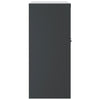 Antrasiitti arkistokaappi Rahira 79x40x90cm (teräs)
