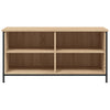 TV-taso Sonoma-tammi 100x40x50 cm tekninen puu